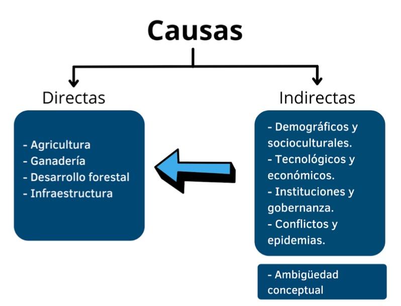 Causas comuns e fatores de risco da lombalgia