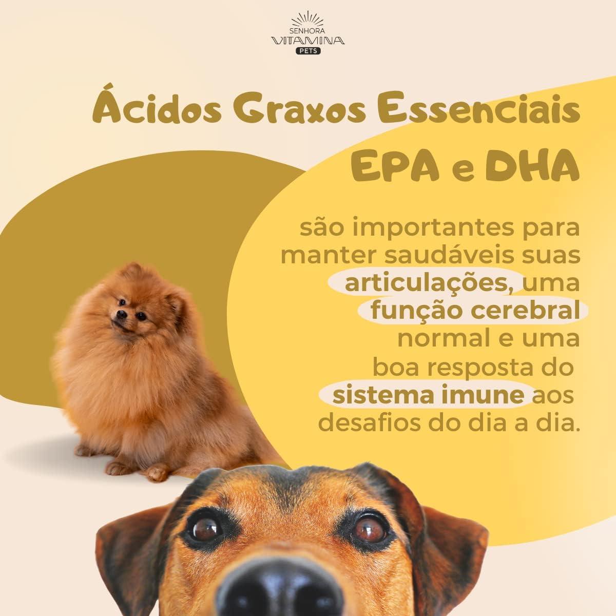 Ômega 3 Pets: Nosso Suplemento Ideal Para Cães e Gatos