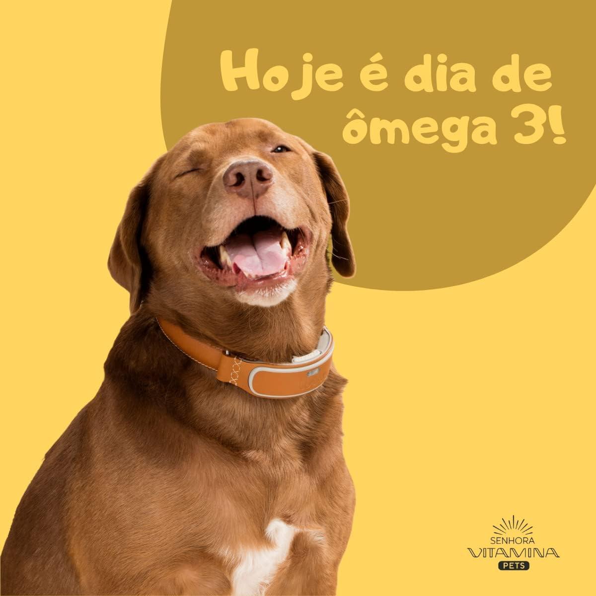 Ômega 3 Pets: Nosso Suplemento Ideal Para Cães e Gatos