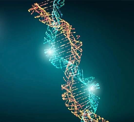 Fatores de risco que aumentam a probabilidade de desenvolvimento da tuberculose latente